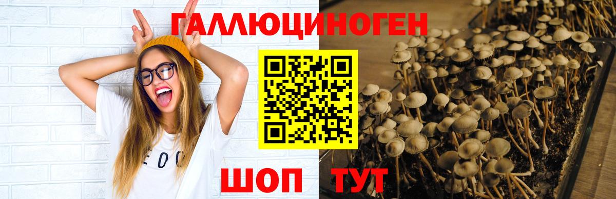 Псилоцибиновые грибы MAGIC MUSHROOMS Киров